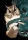 image by Kirms Photography Flying Squirrel-1